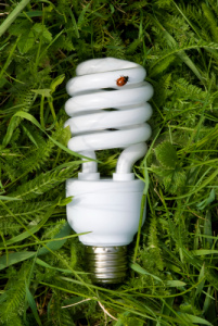 Energy Saving Light Bulb