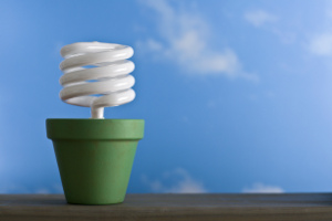 Energy saving light bulb